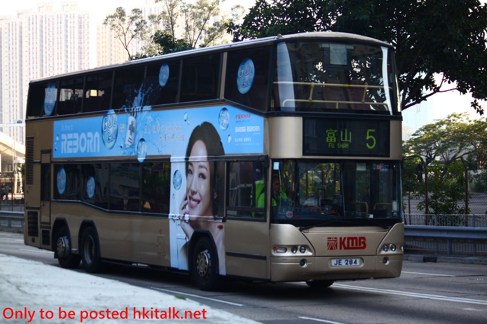 AP020-T8087-5.JPG