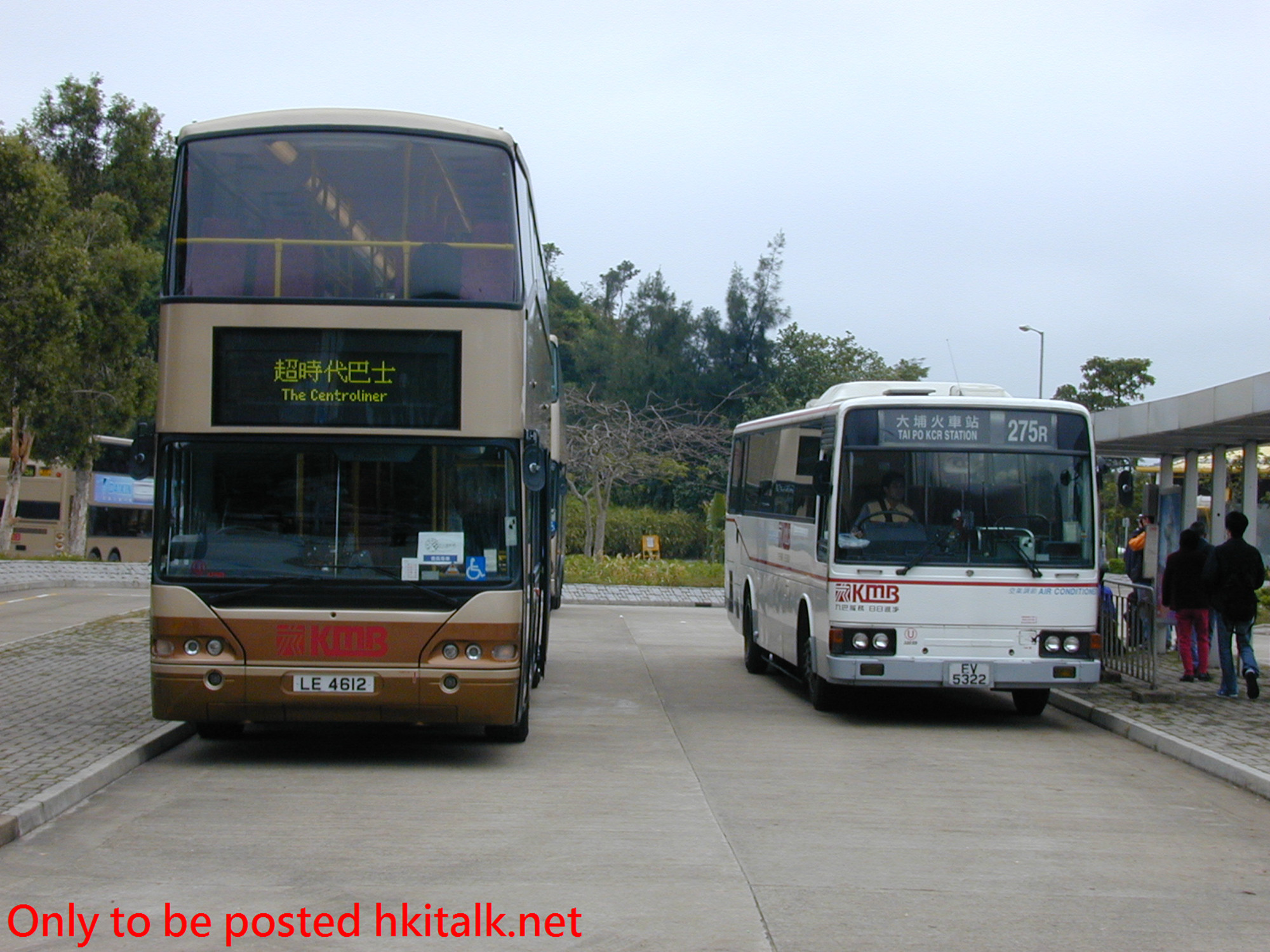 AM089-32959-275R.jpg