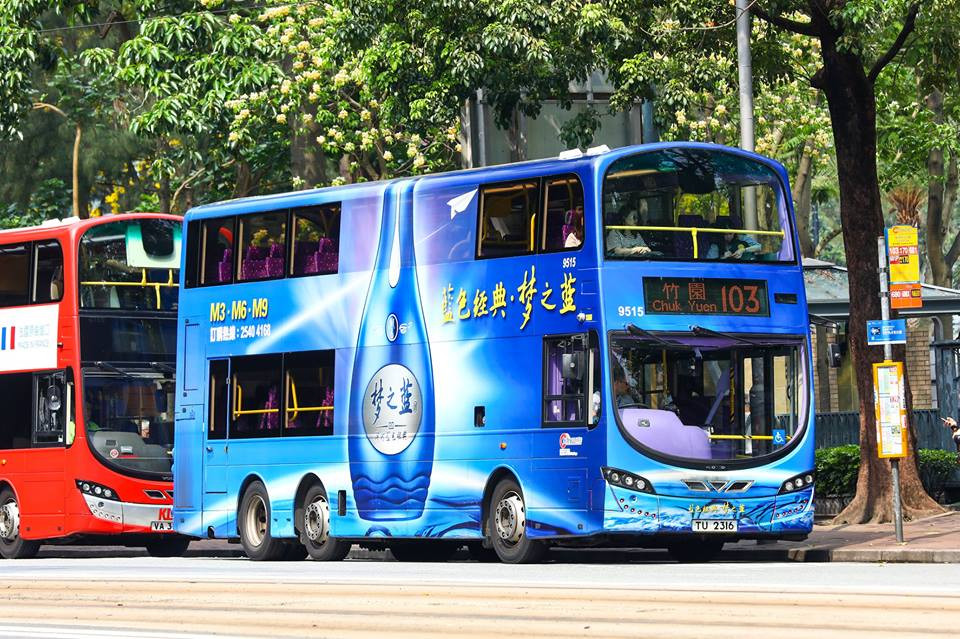 9515.jpg