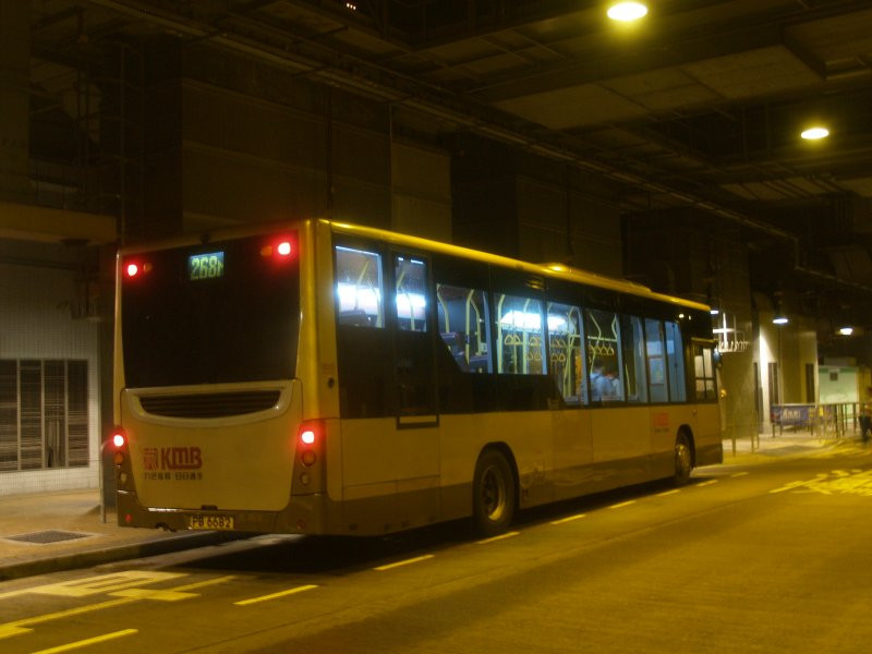 k_ascu1@268m_2_1.jpg