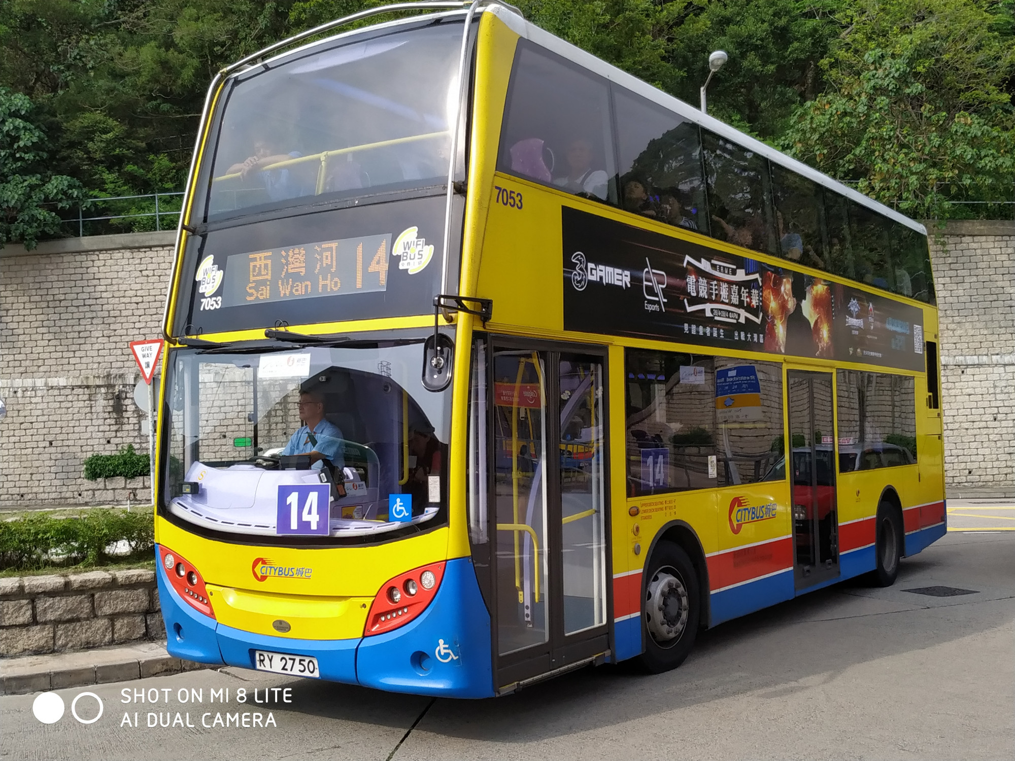 705314.jpg