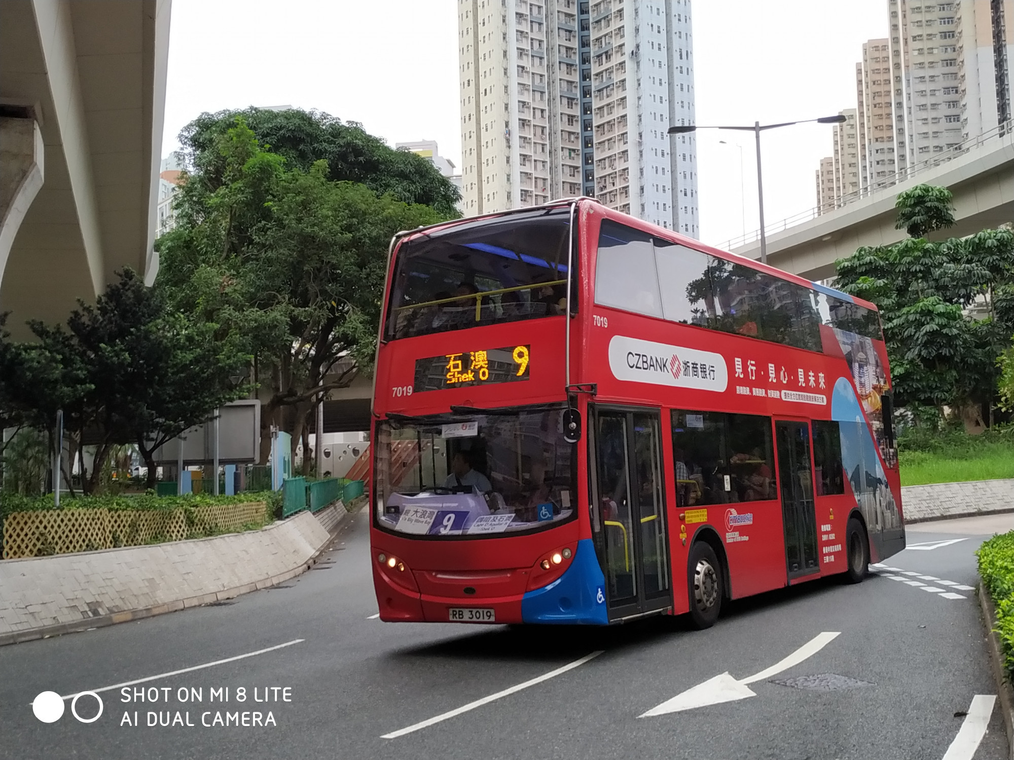 7019.jpg