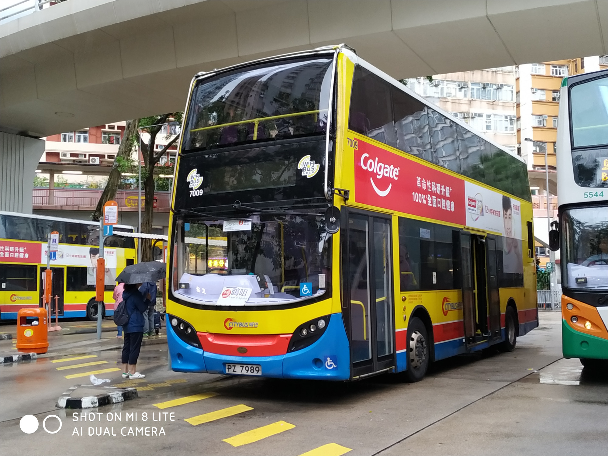 7009.jpg