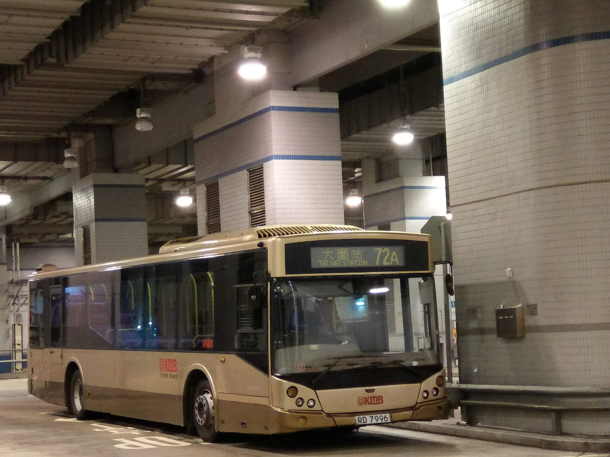 IMAG9496.jpg