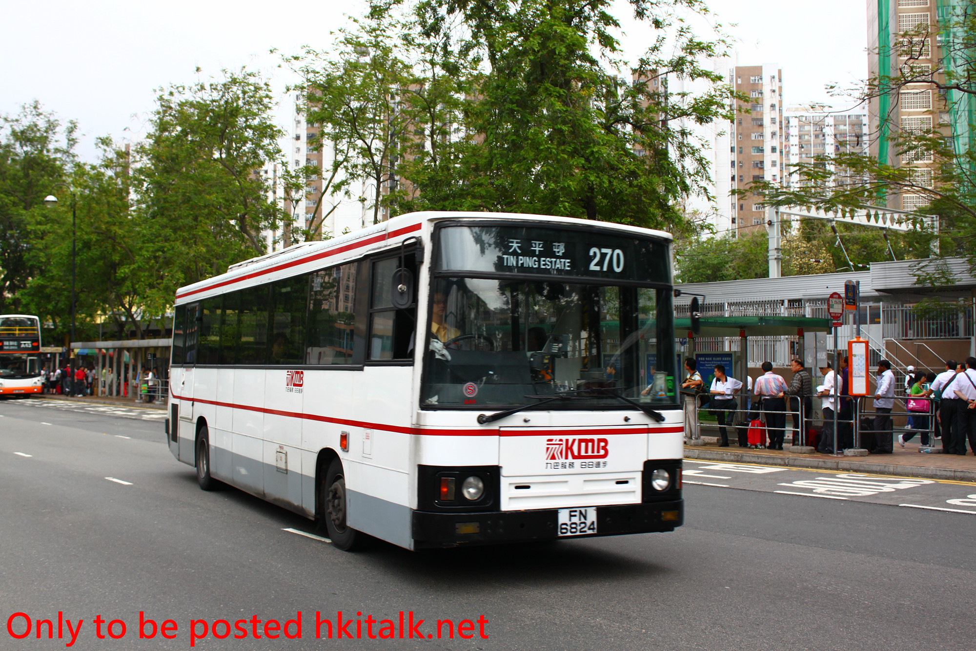 AA06-P8238-270.JPG