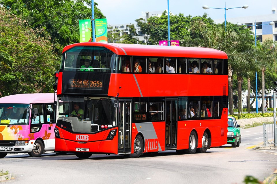 WC9181.jpg