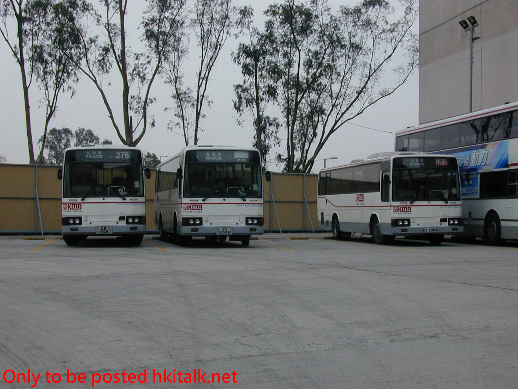 AM085-33518-YLD.JPG