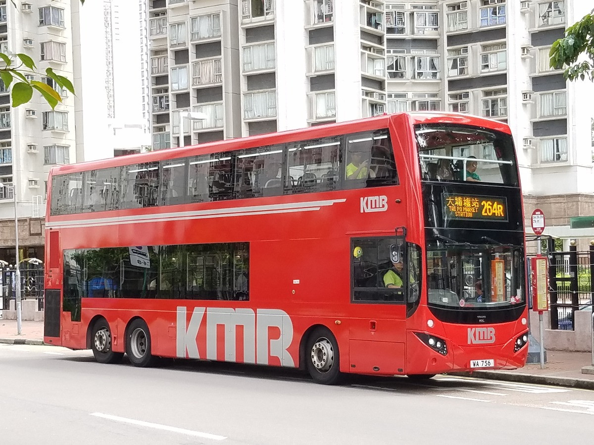 20190601_103117.jpg