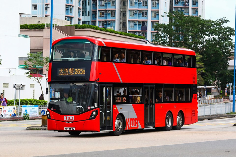 WD3683.jpg