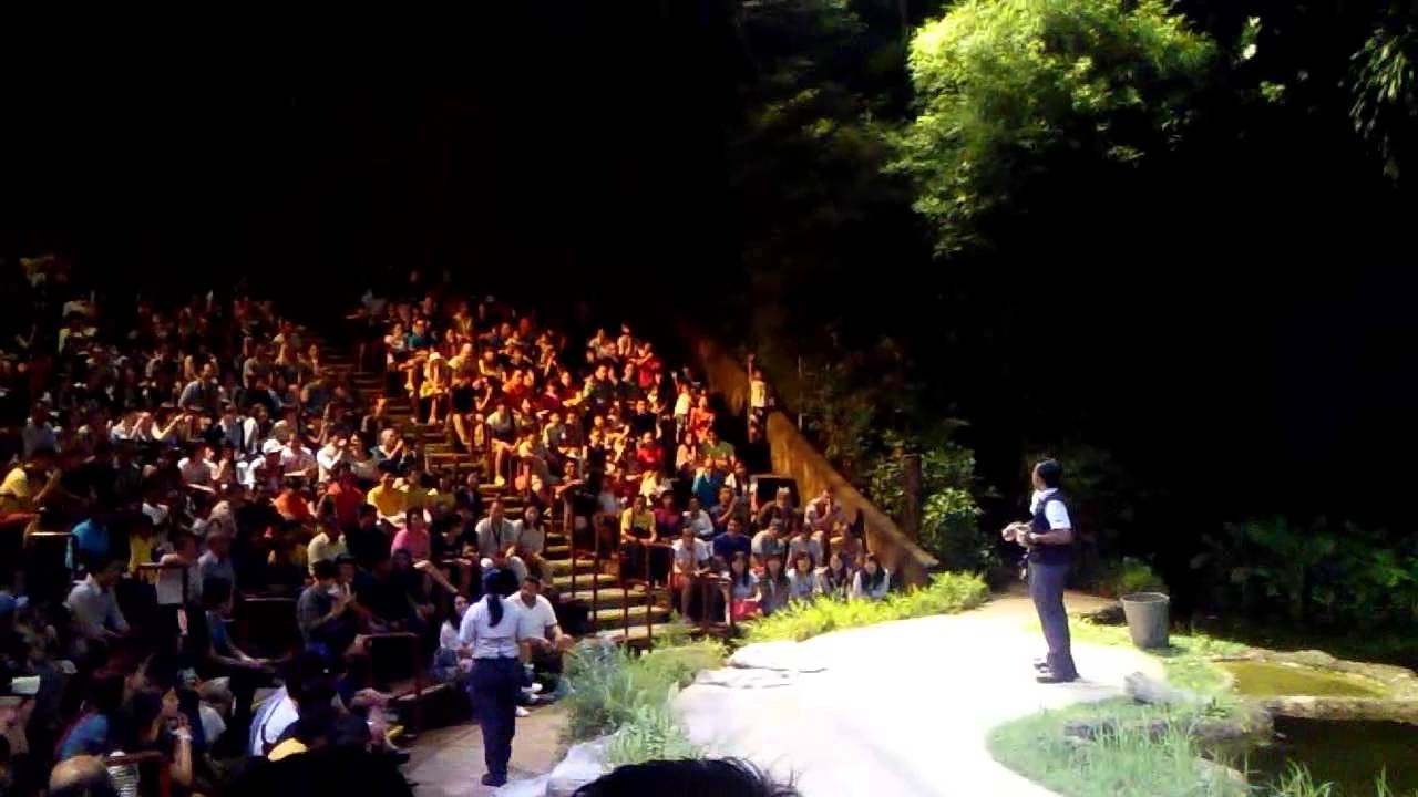 新加坡夜間野生動物園 (Night Safari, Singapore)