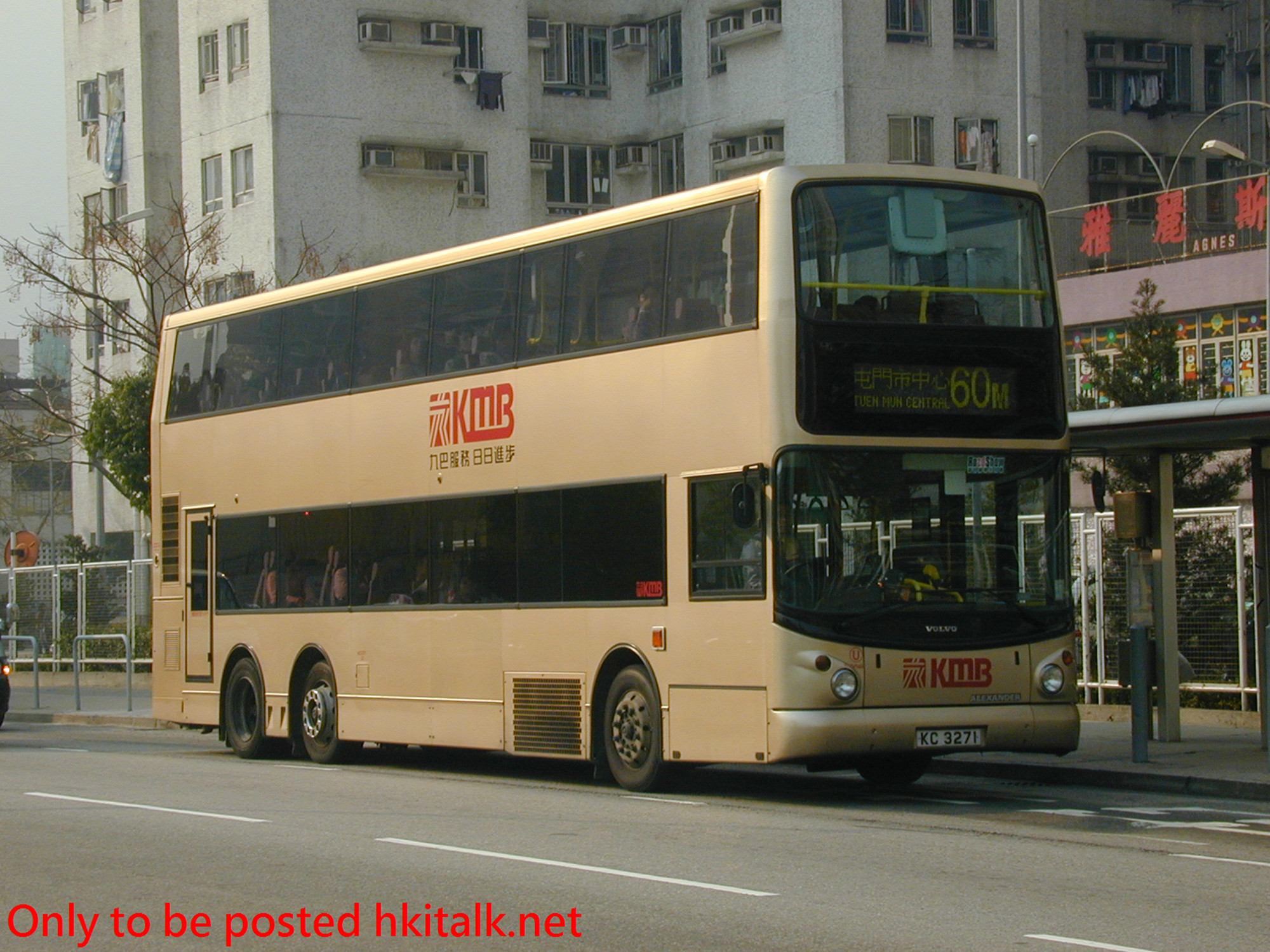 3ASV146-31255-60M.JPG