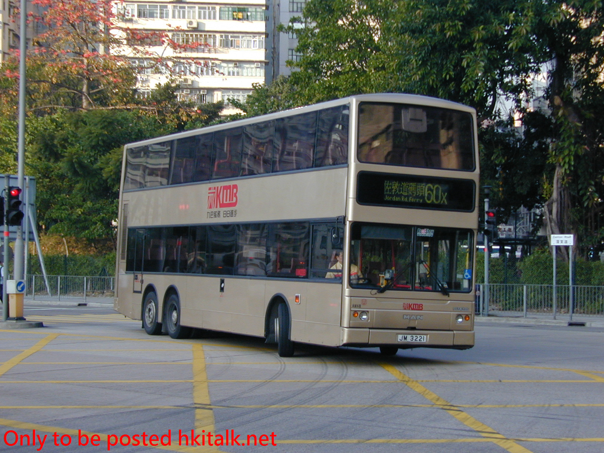 AMN08-14068-60X.JPG