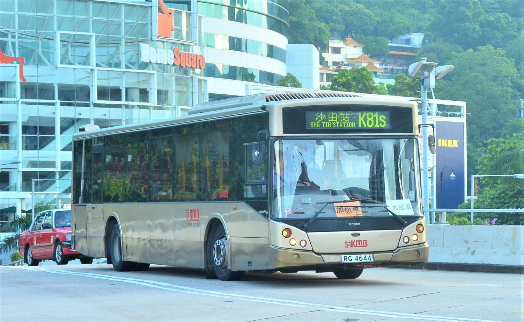 DSC_8041 - 複製.JPG