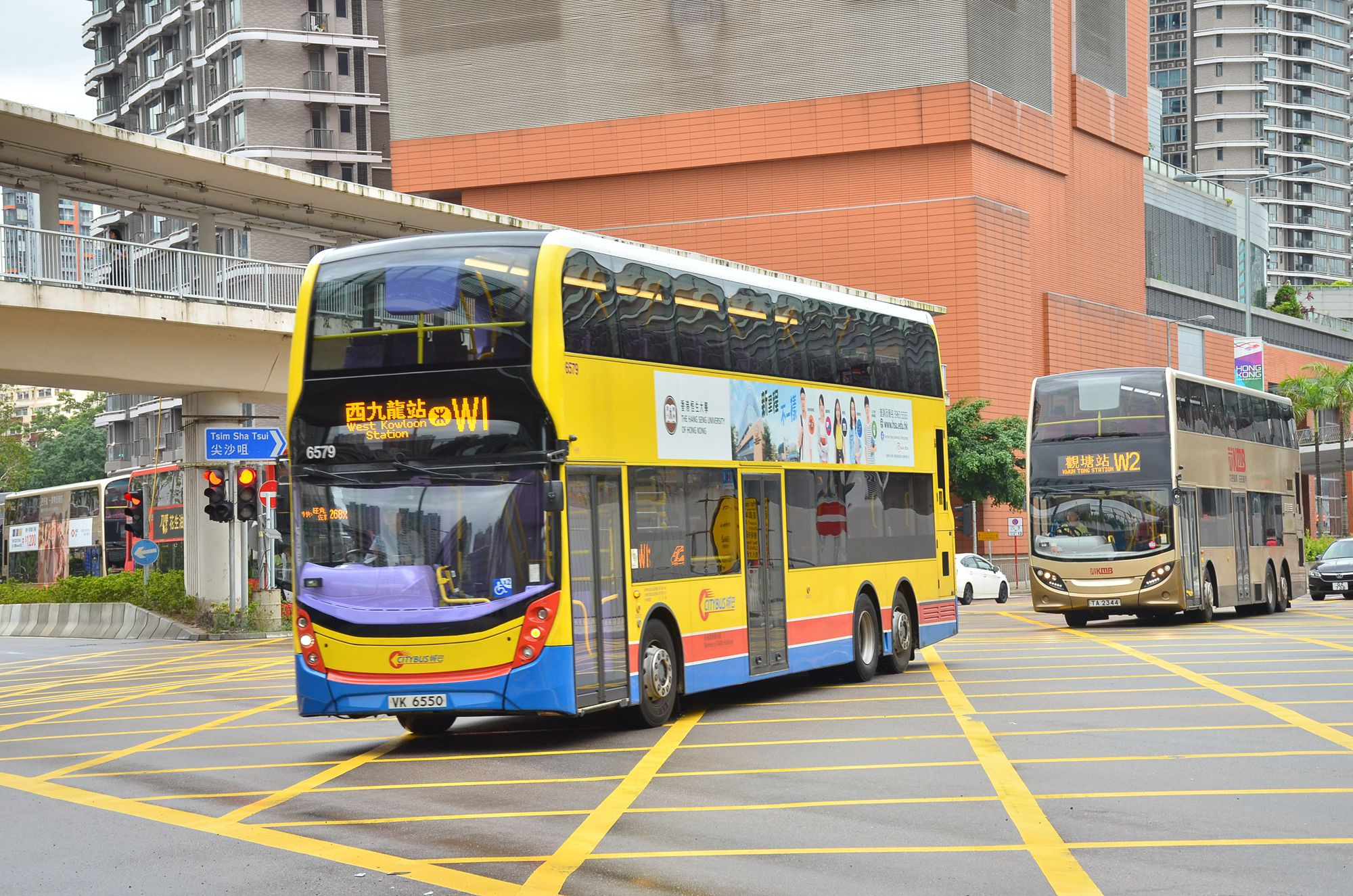 DSC_8381 - 複製.JPG