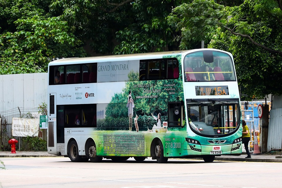 TG6248.jpg