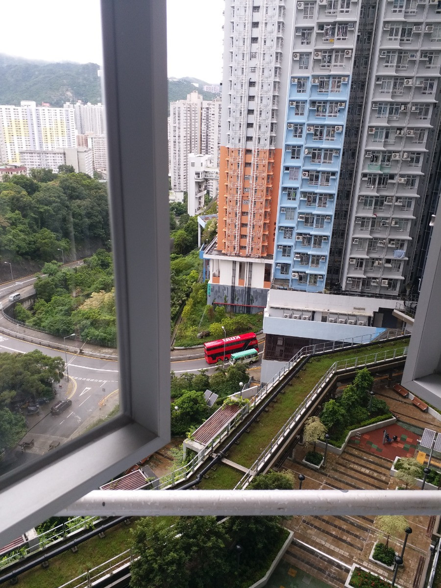 20190803_140410(0).jpg