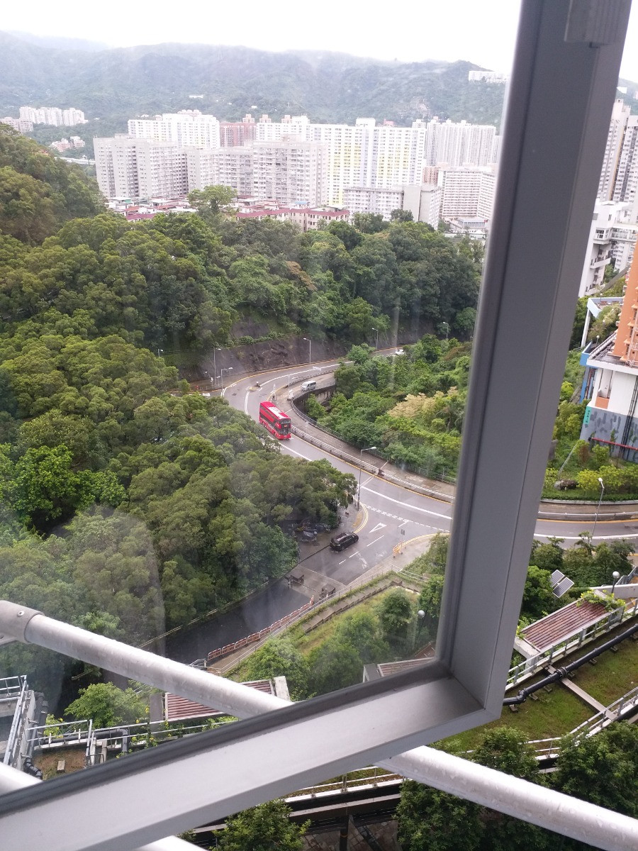 20190803_140404.jpg