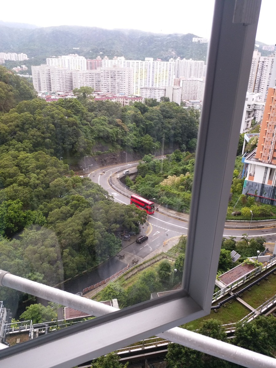 20190803_140406.jpg