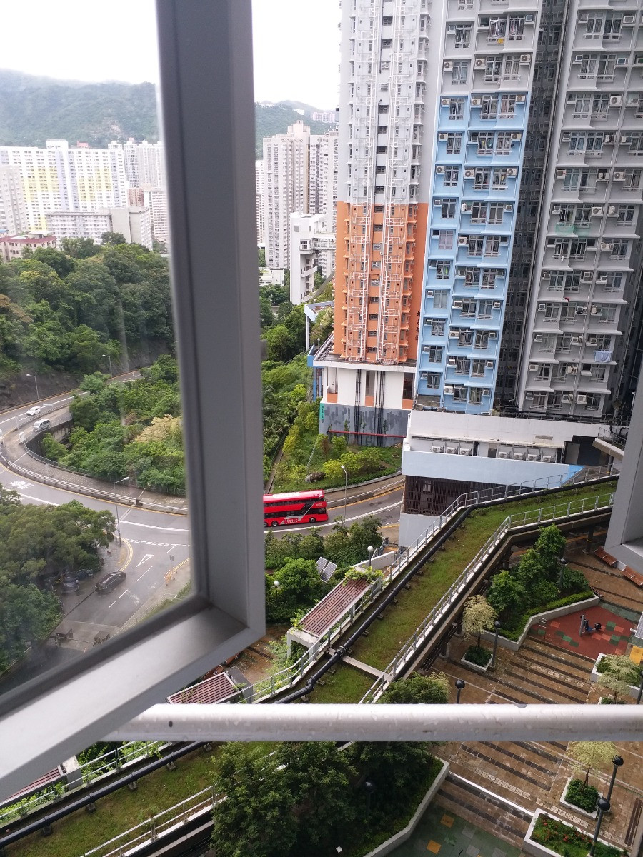 20190803_140409.jpg