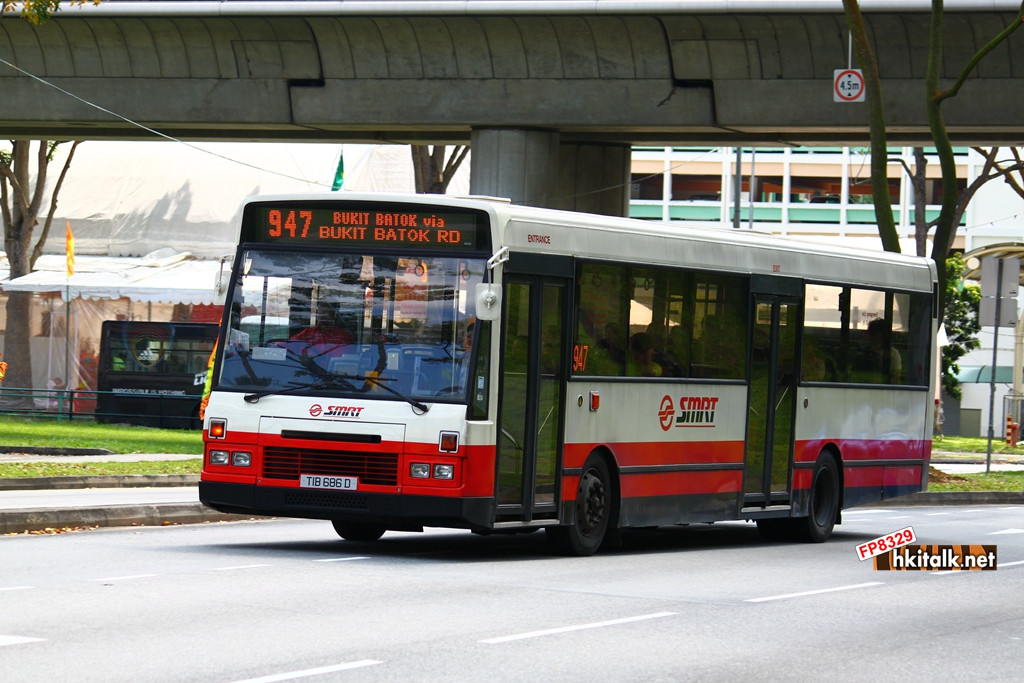 TIB686D.JPG