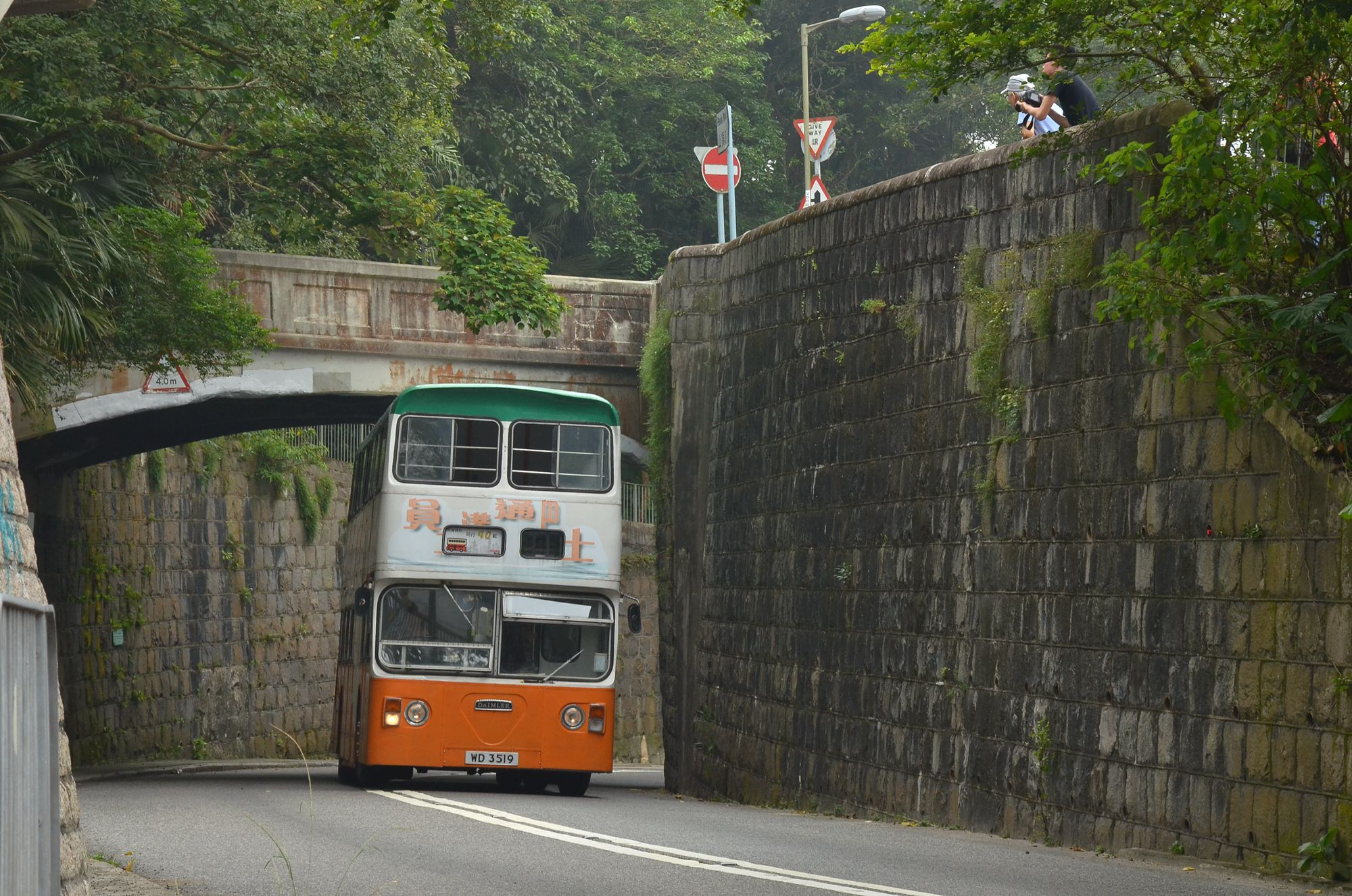DSC_9886 - 複製.JPG