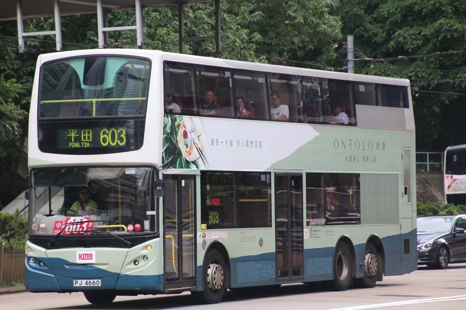 603.jpg