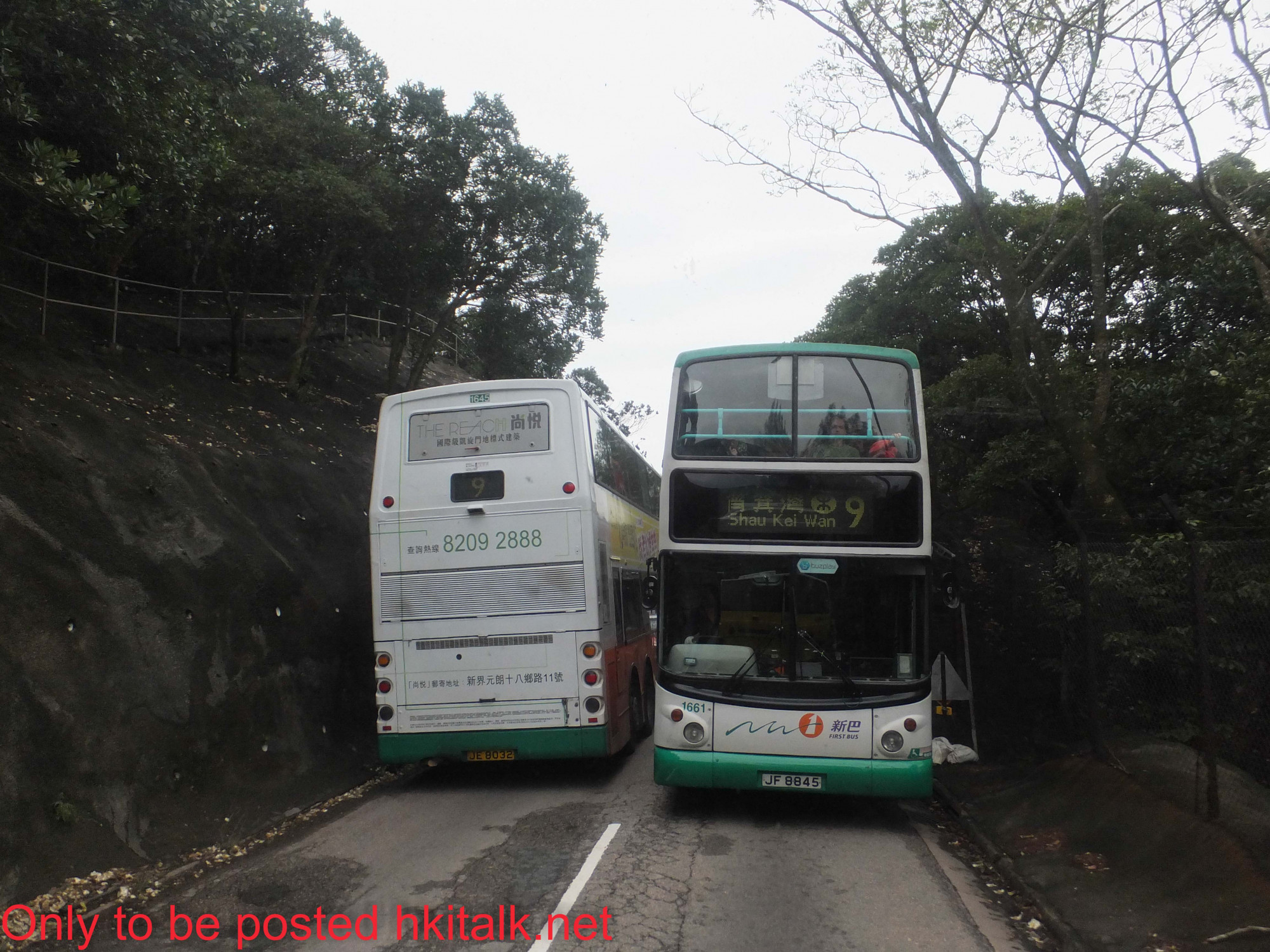 N1661-Y121202F303-9.jpg
