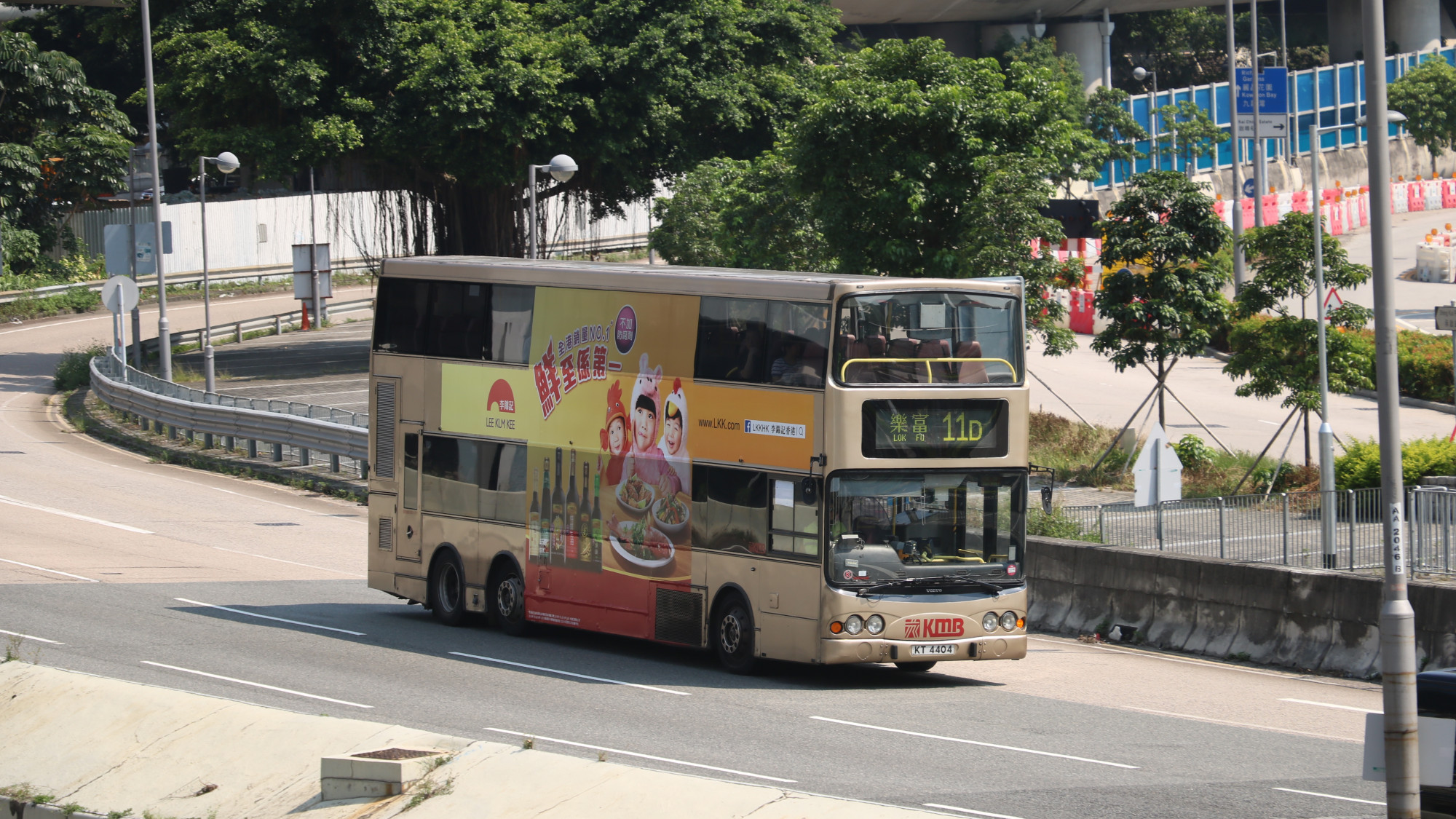20190919 (6).JPG