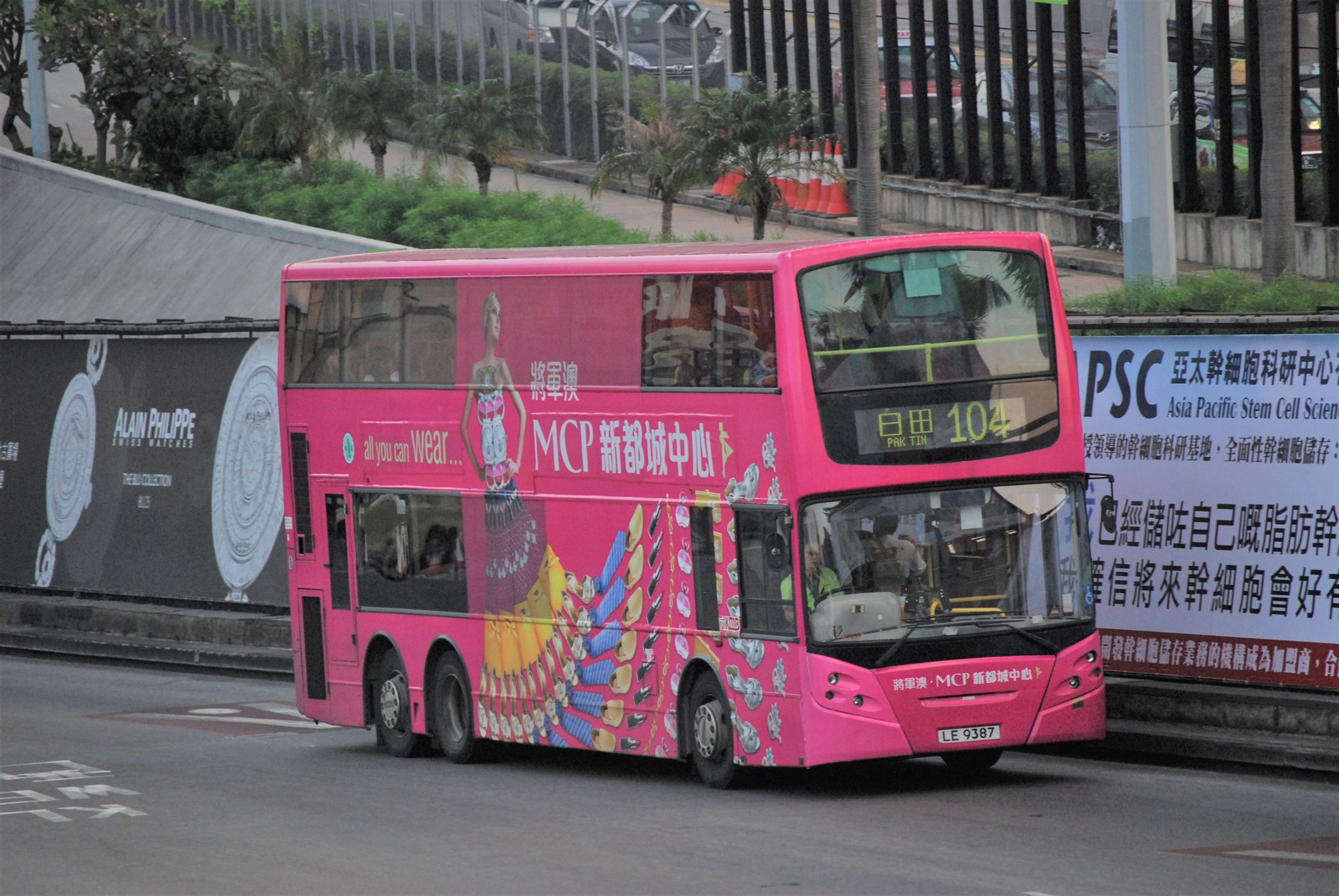 DSC_9218 - 複製.JPG