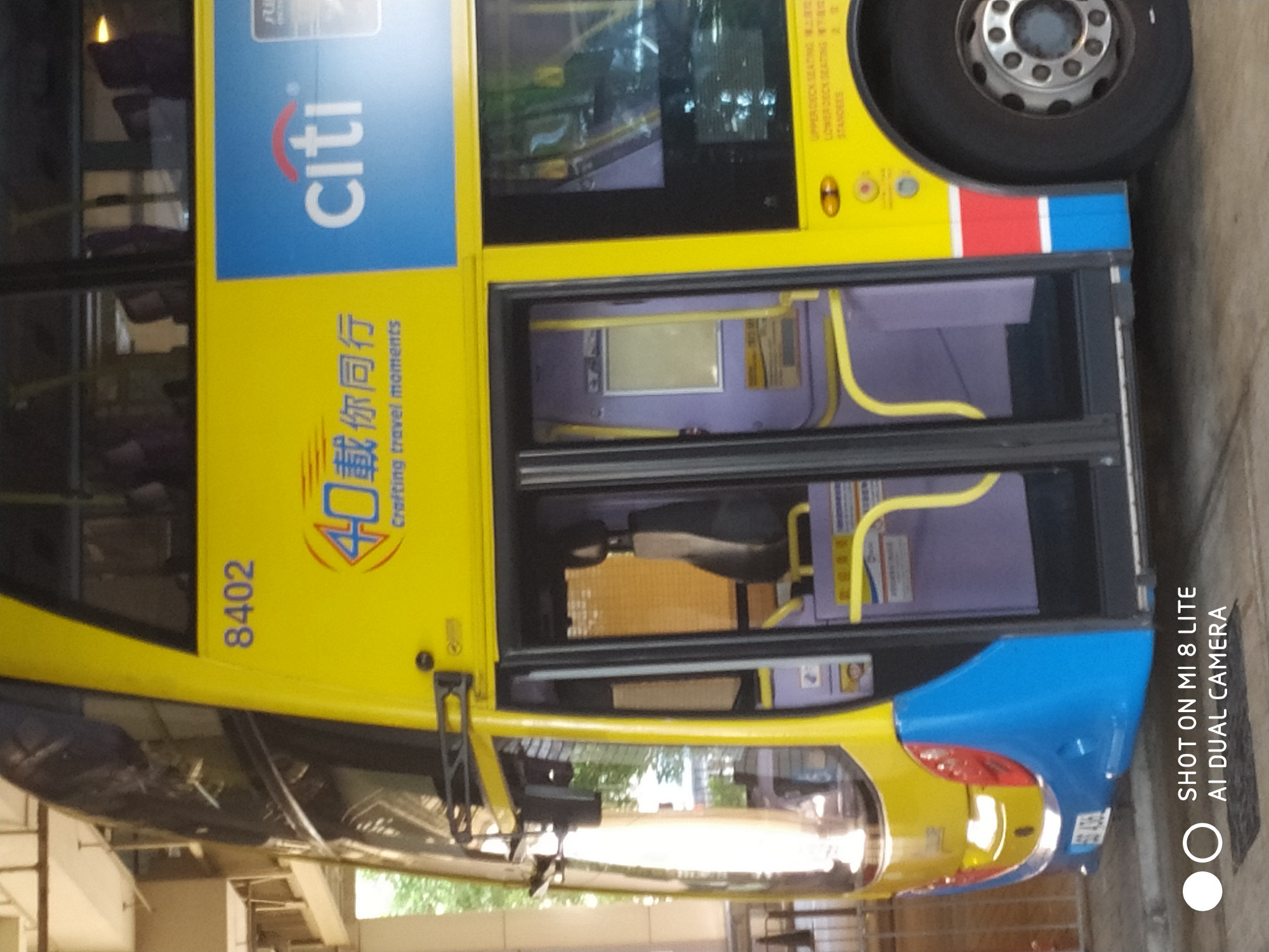 8402401.jpg