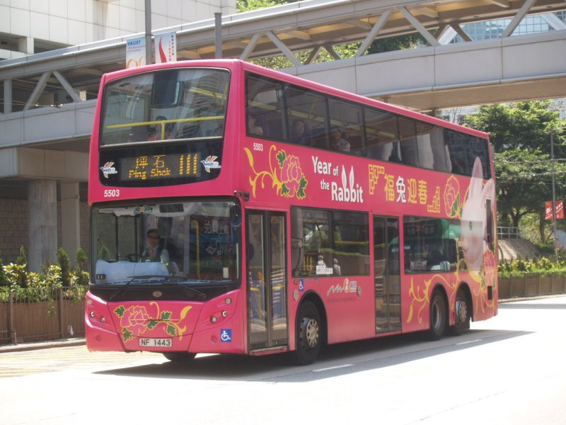 n_5503_1.jpg