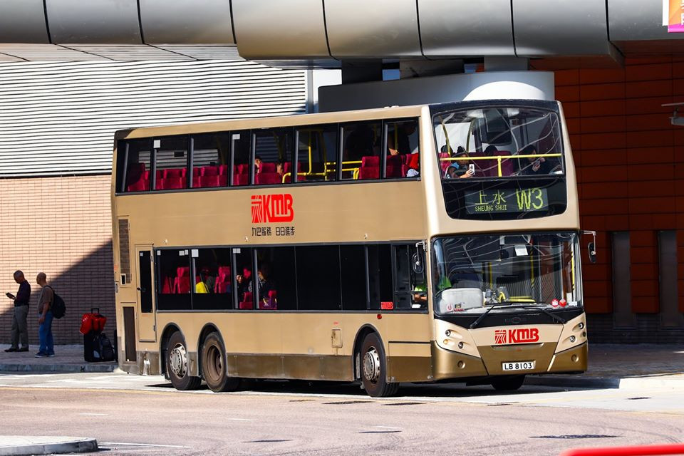 LB8103 W3.jpg