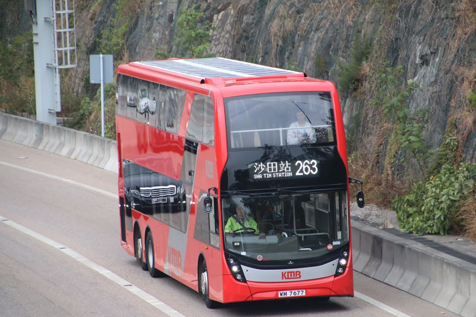 263 a.jpg