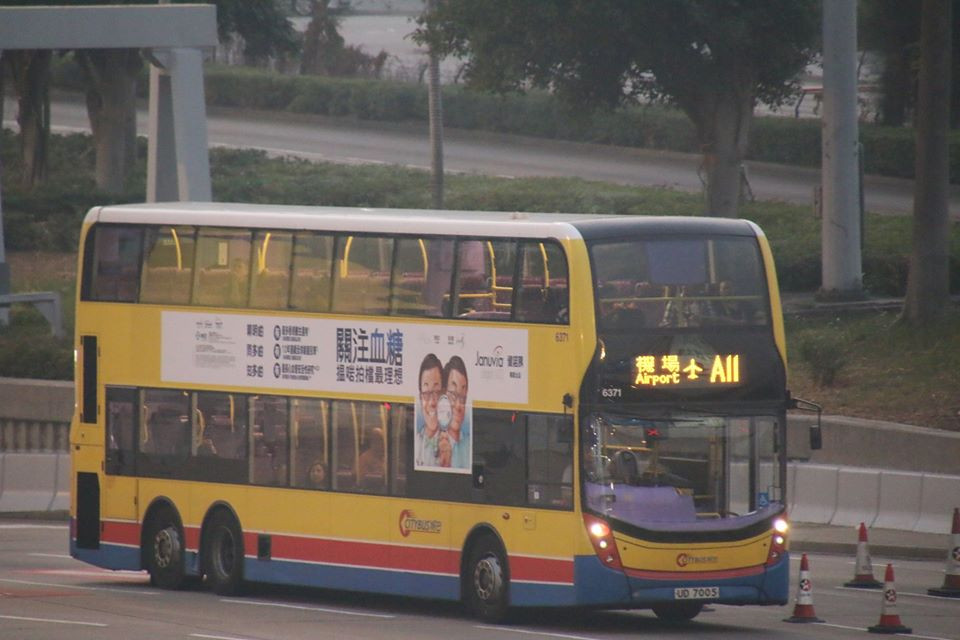 A11.jpg