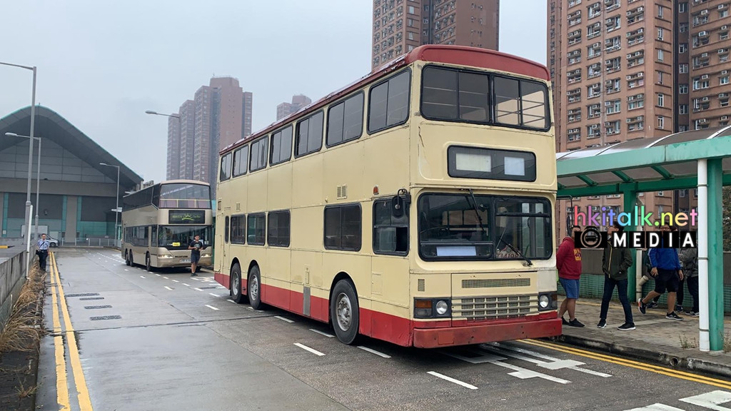 D989 (12).jpeg