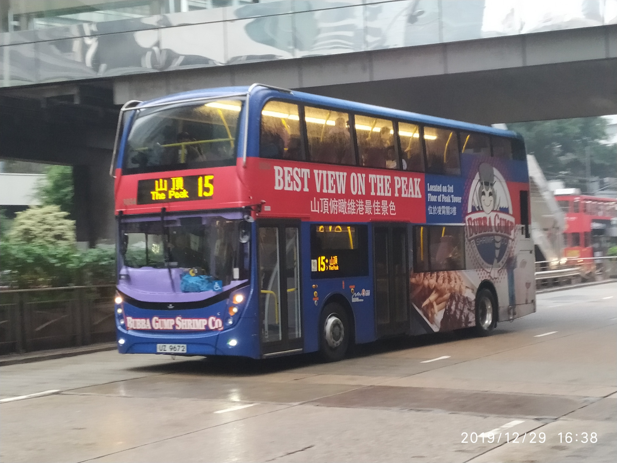 3854.jpg