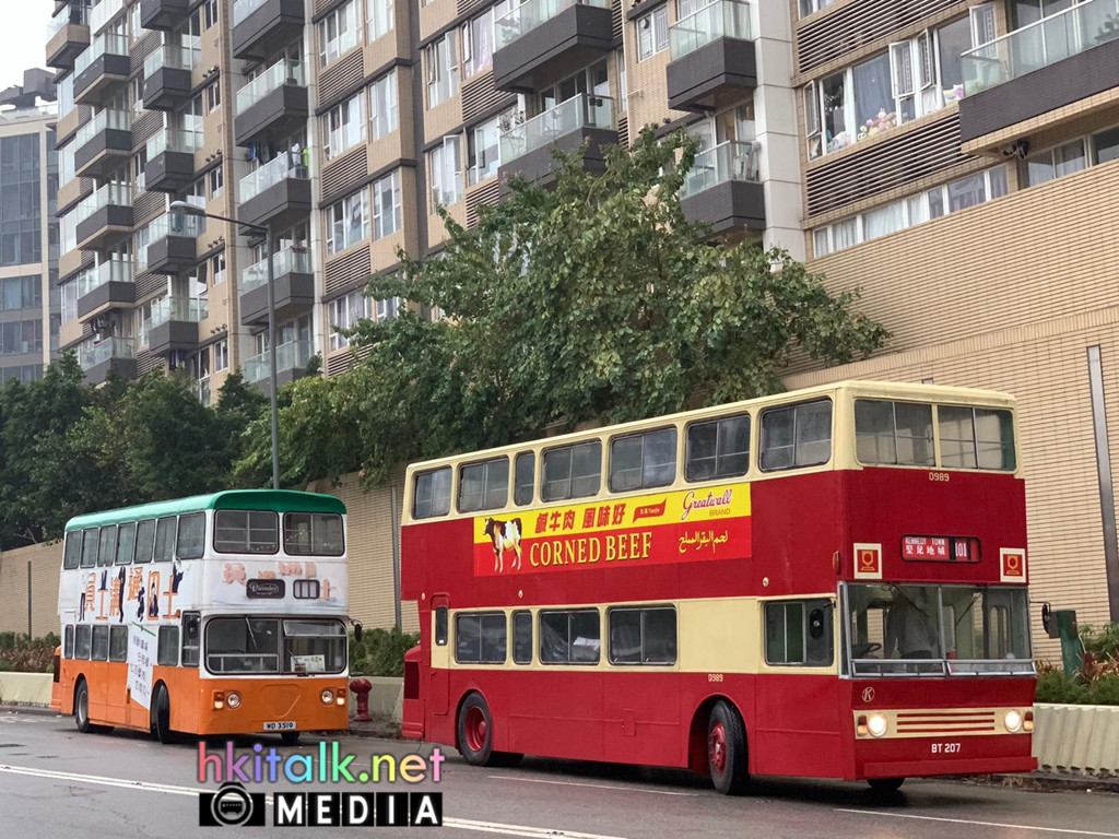 D989 SF15 (3).jpeg