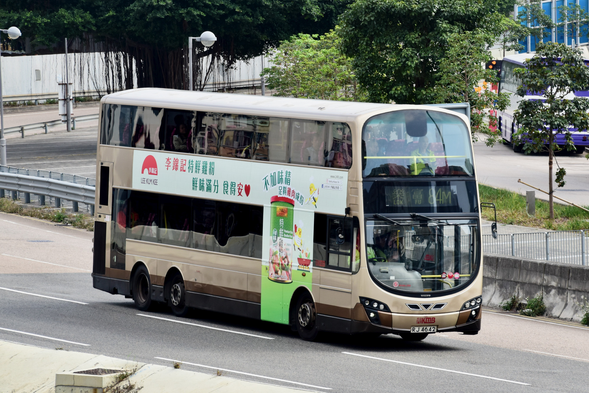 DSC_0711 84m.jpg