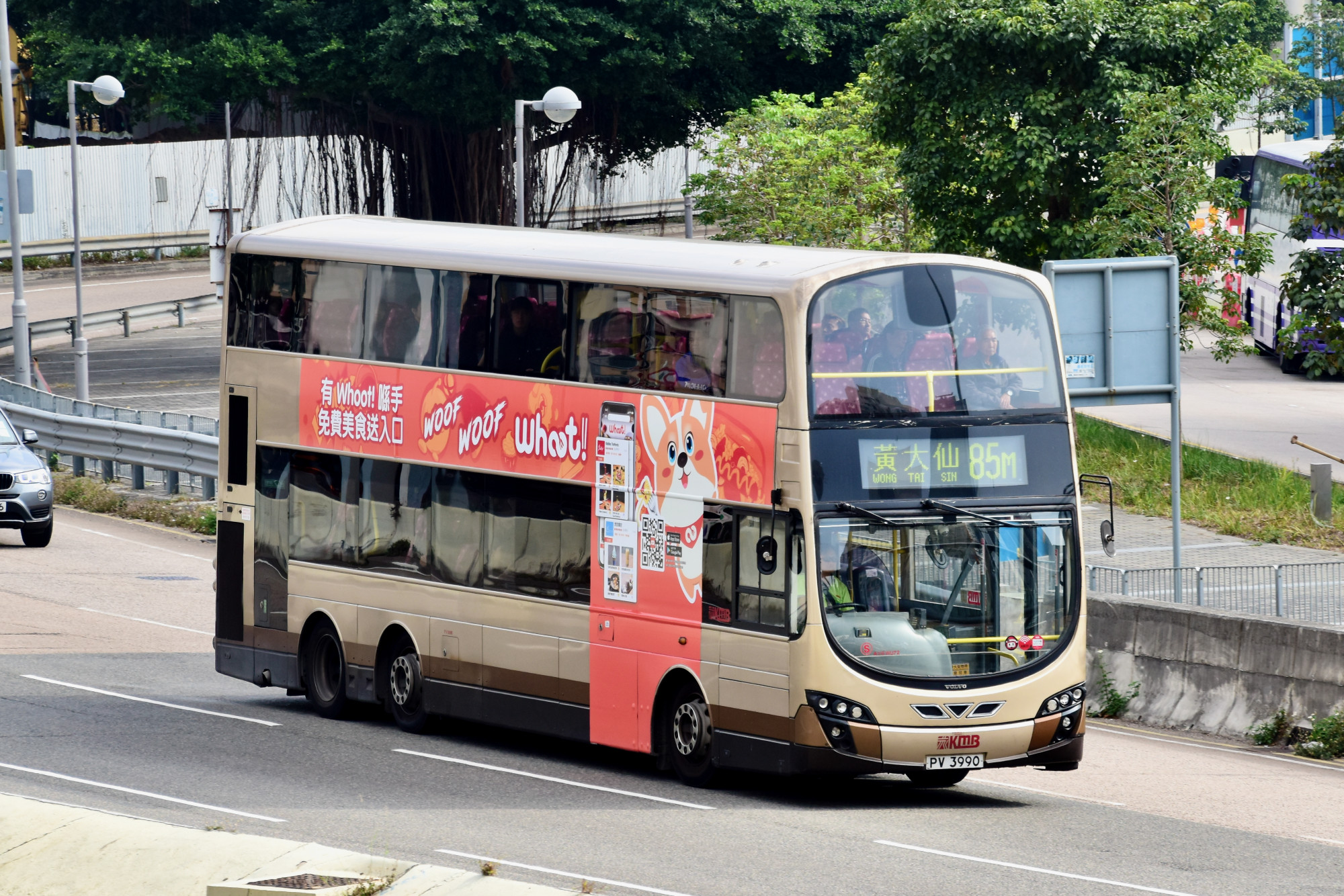 DSC_0717 85m.jpg