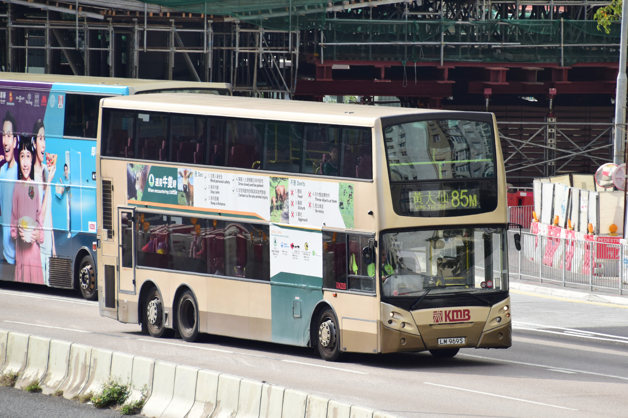 DSC_0817 85m.jpg