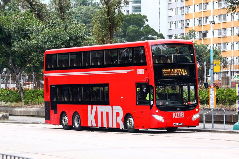 wm 74a.jpg