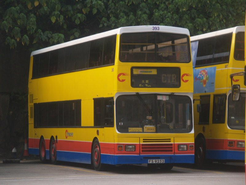 c_393_1.jpg