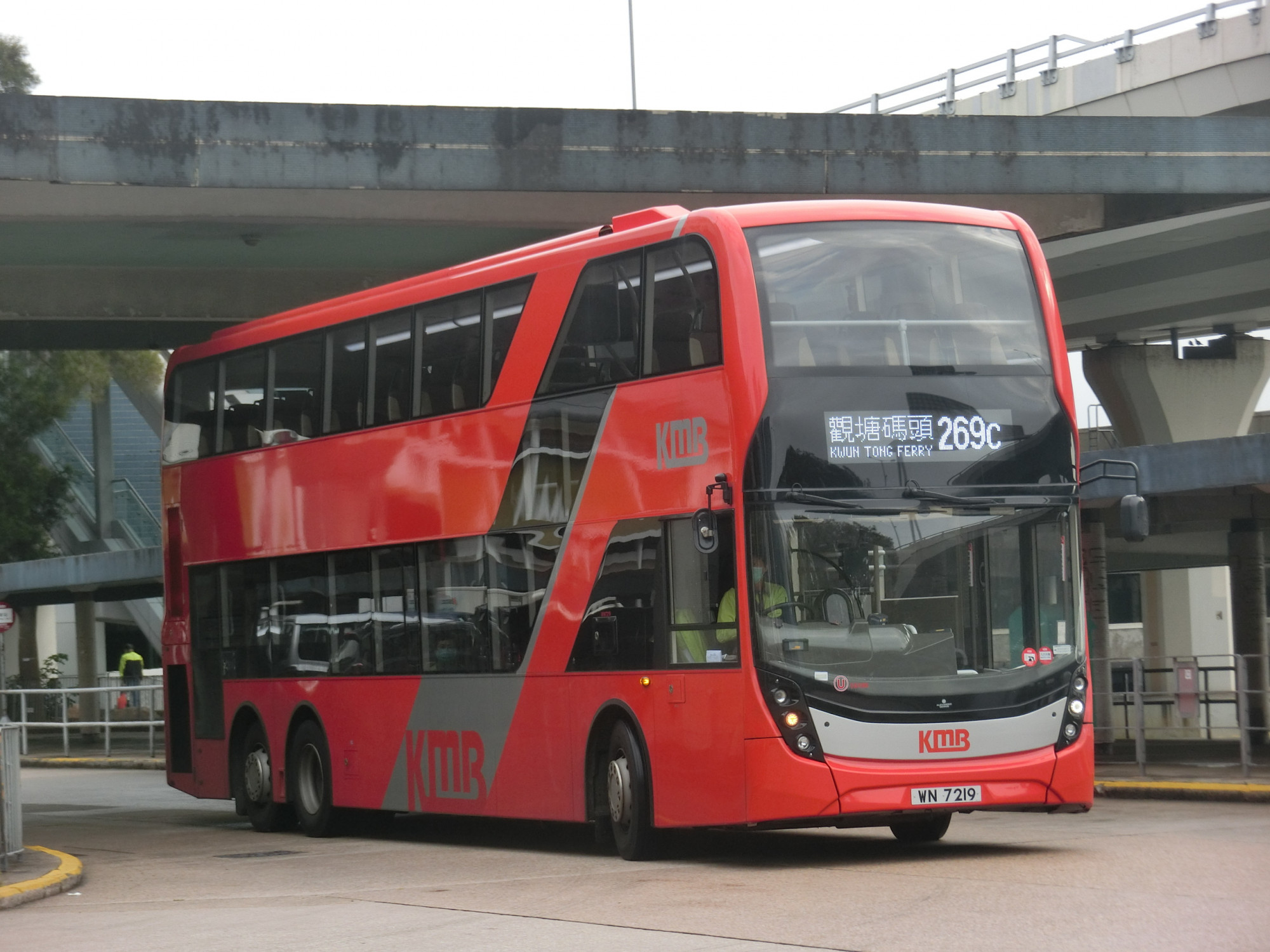 CIMG9140.JPG