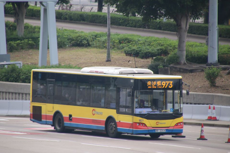 973.jpg