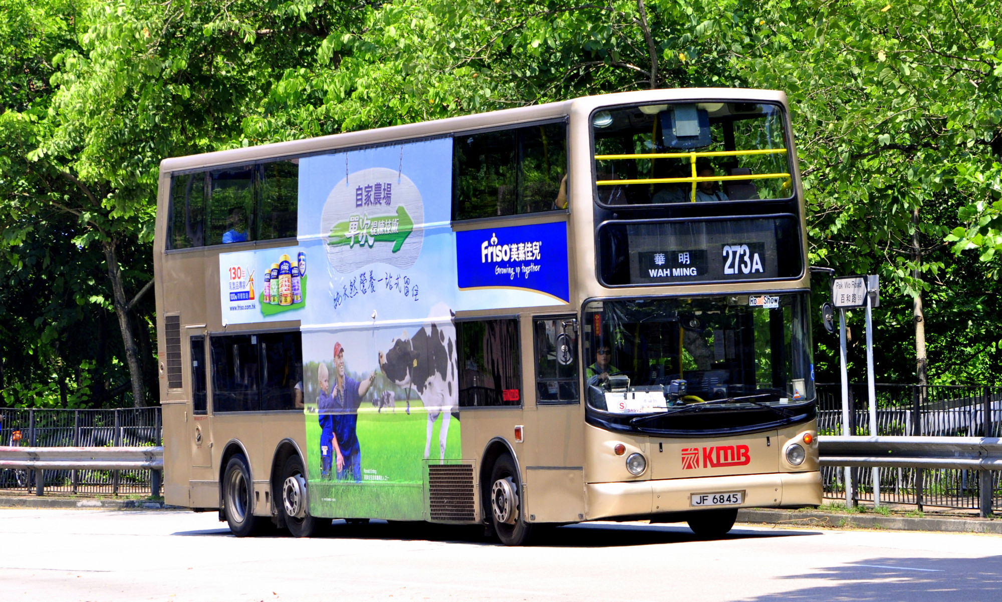 JF6845-3ASV21-S@273A.JPG