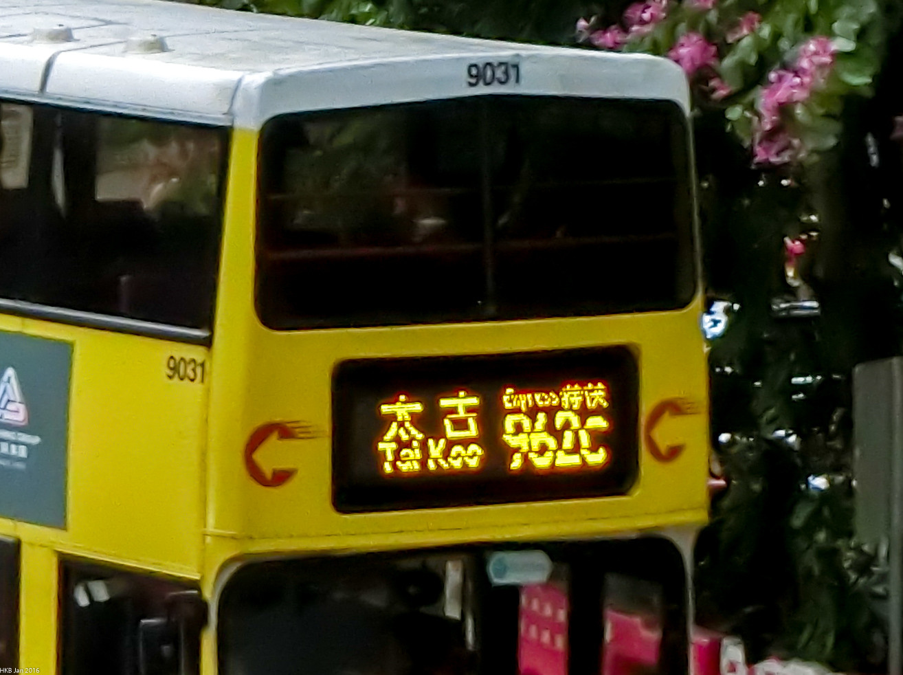 9031_962C.jpg
