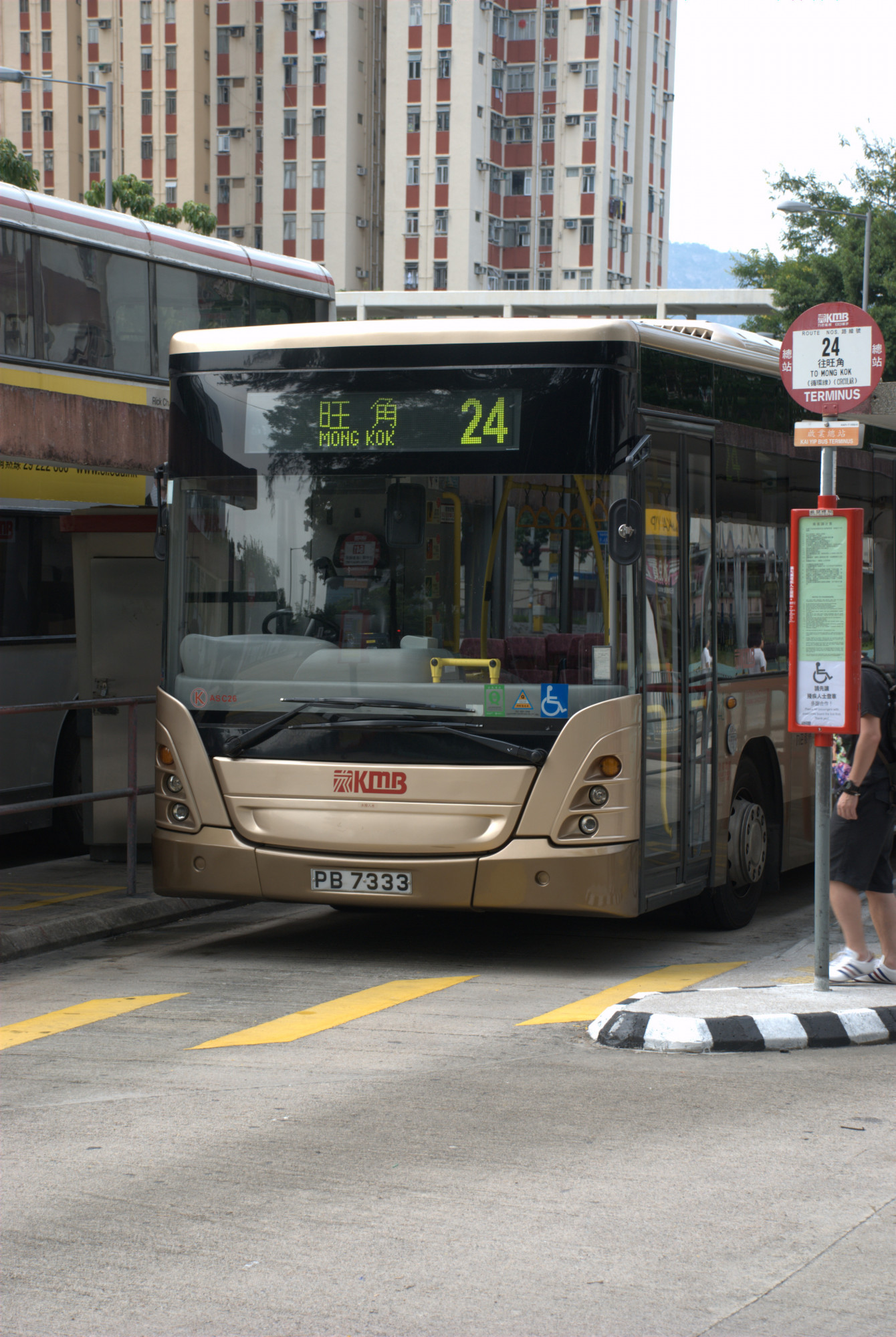 PB7333.jpg