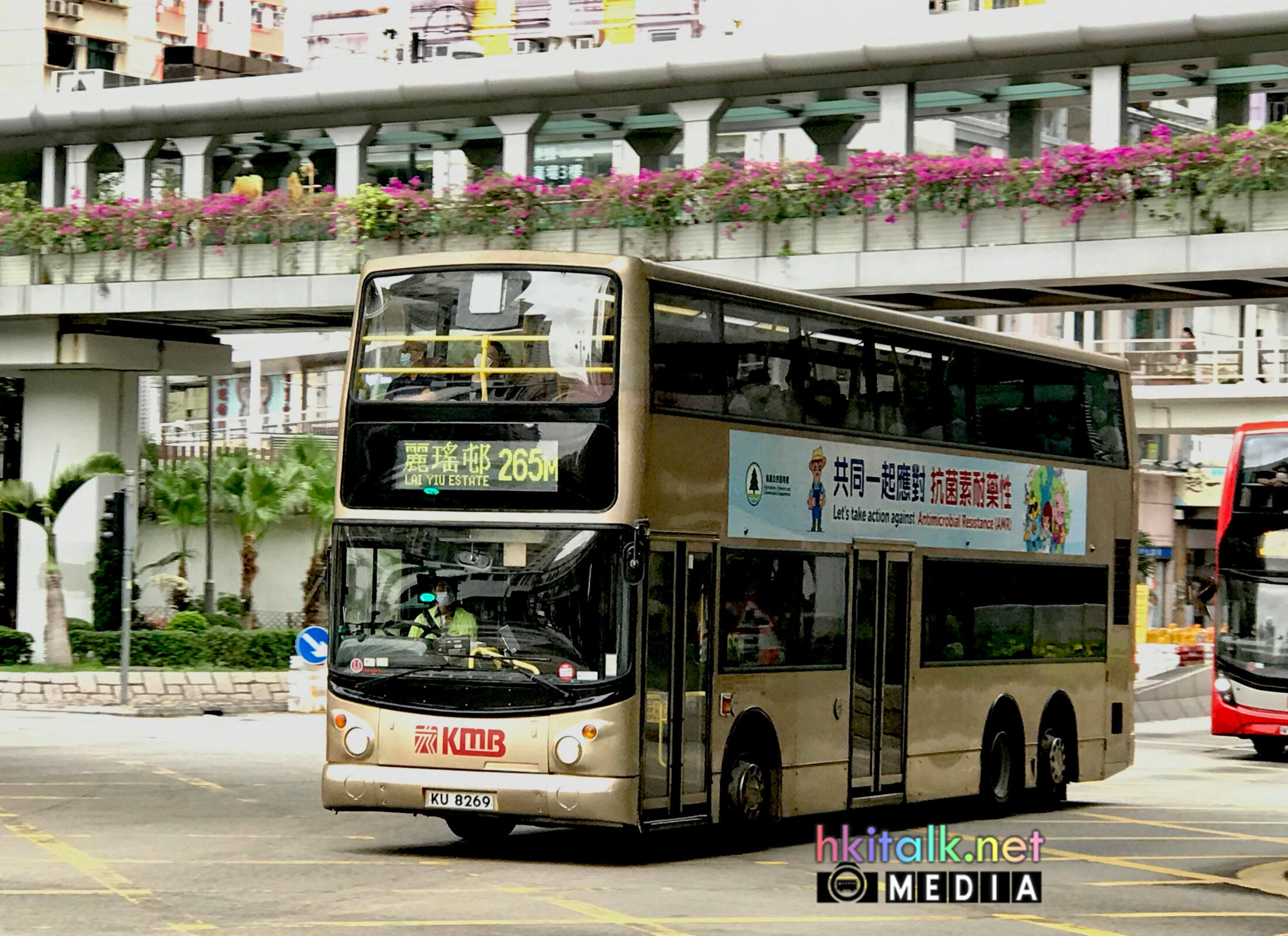 KU8269@265M.jpg