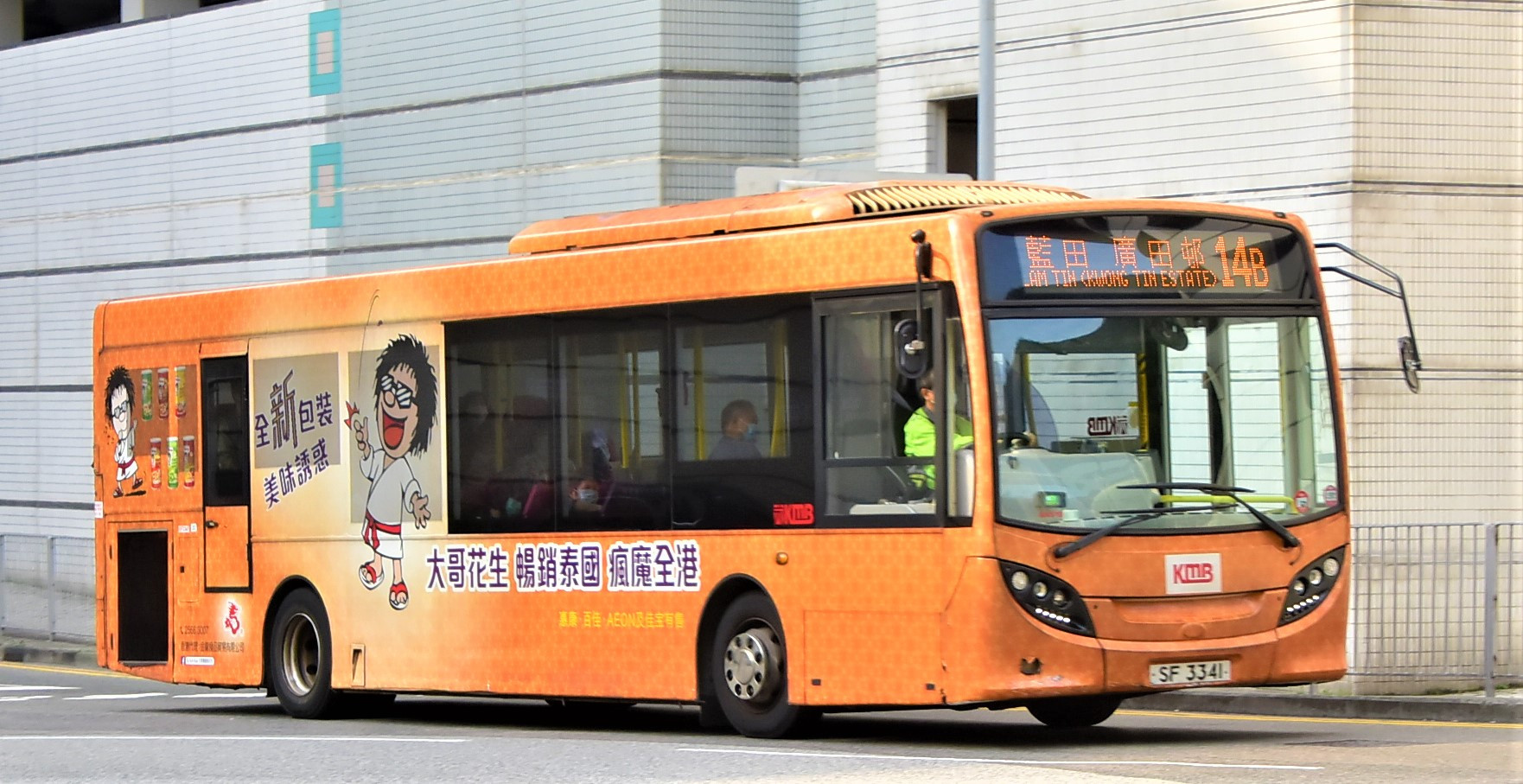 DSC_3319 - 複製.JPG