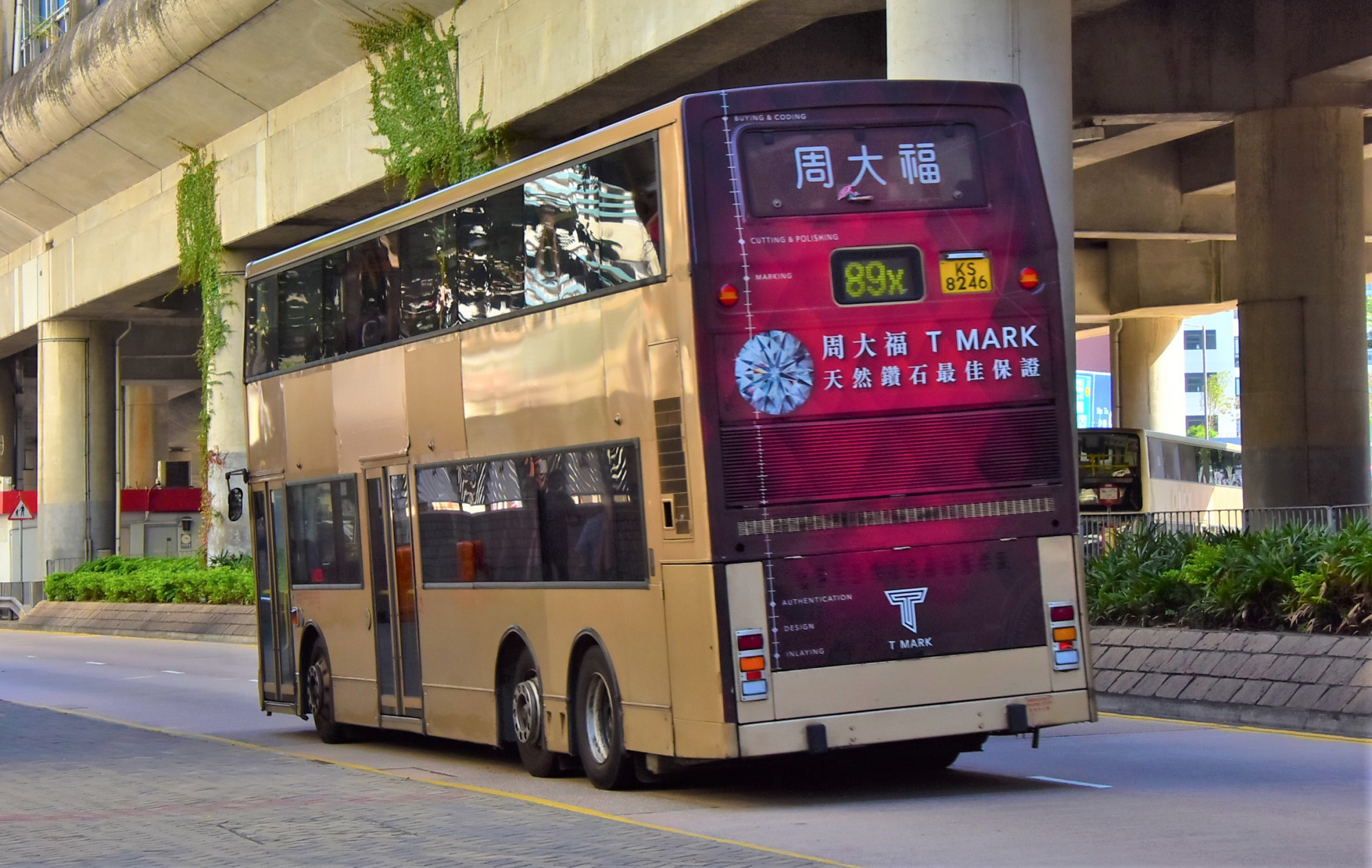 DSC_3728 - 複製.JPG